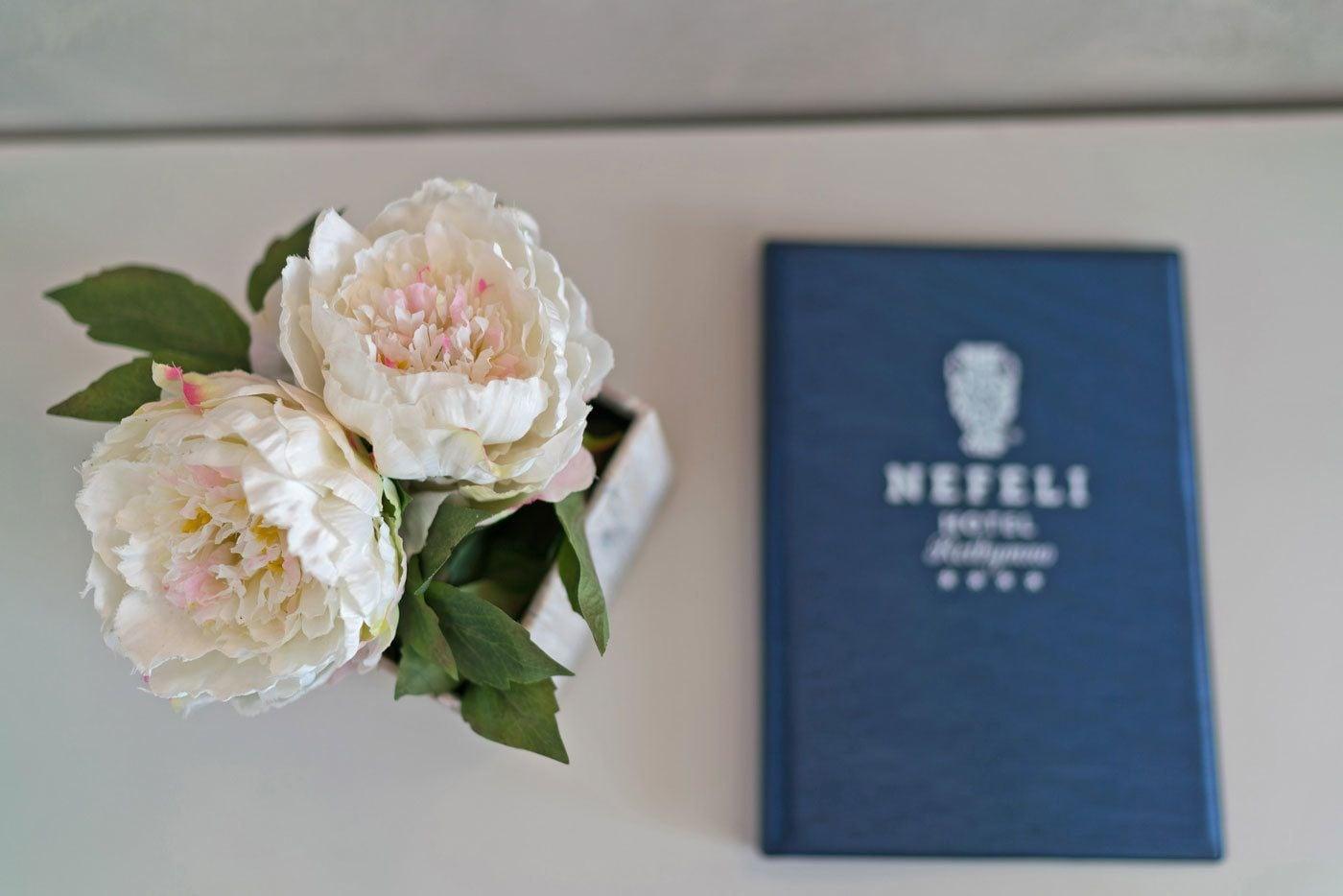 Nefeli Hotel Platanes  Zewnętrze zdjęcie